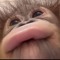 #칠곡연합