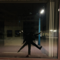 ǝuıɥsnɹɐɯ