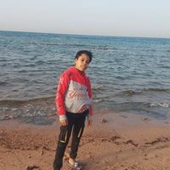فارس حببينا حببنا الصادق