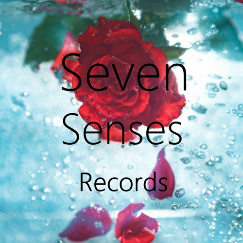 Seven Senses Records’s avatar