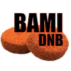 BAMI DNB