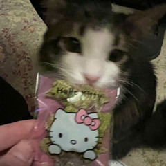 Sweetsmoon