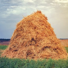 Haystack