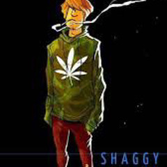 lil shaggydoo