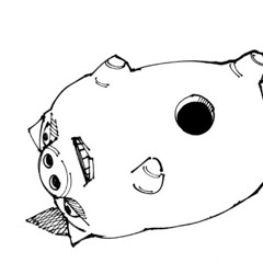 kil