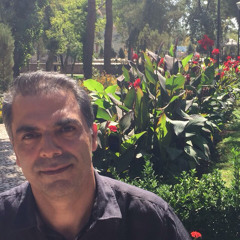 Mohsen Abdoli