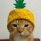 leonol