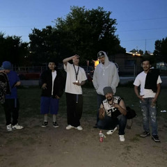 slik208