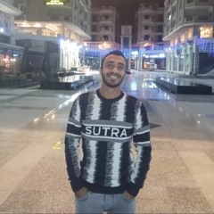 Taha Sobhy Elngar