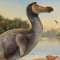 DODOBIRD