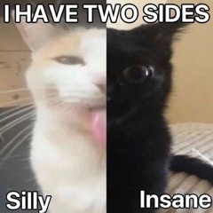 Syl