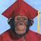 Munkebanana