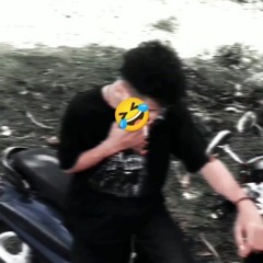 47_fherdy