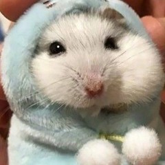 종빈
