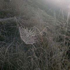 web