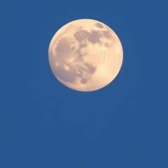 lunarchill
