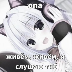 Какой-то тнбфаг