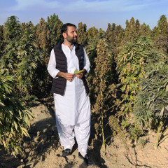 Kamran Khetran- 313