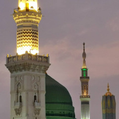 mahmoud chawk