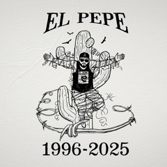 El Pepe