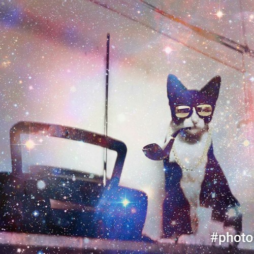 Stream Hazard Wizard music | Listen to songs, albums, playlists for ...