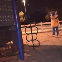 Aligator (Misspelled Purposely)