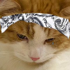 Руслан Апэль