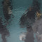 a flood