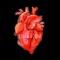 Heart is a Drum