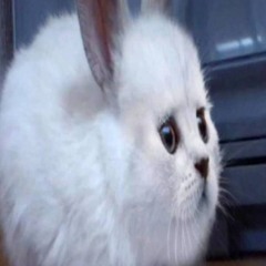 асоред