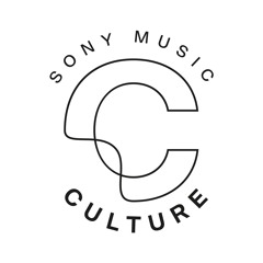 Vision, Values, Voices - SME Culture Podcast