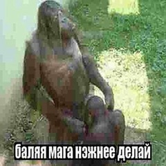 ame