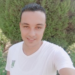 محمد العليمي
