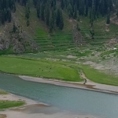 uzair