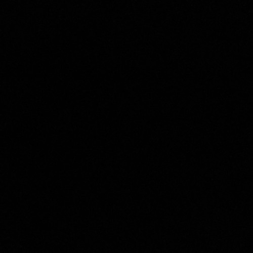 جودي بدمك يا حماس