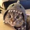 Un_Meow