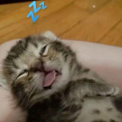 kobebryann