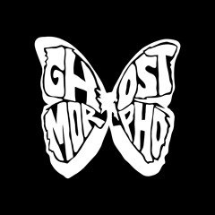 Ghost Morpho