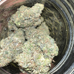MightyNick420