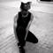 Don Mokone