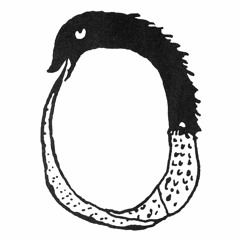 Animal "Animal" demo 2021