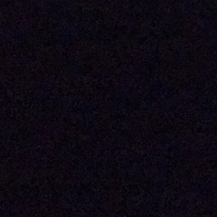 Maria Júlia Machado