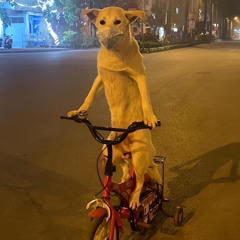 Vũ Hải Linh