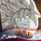 aito987tahiti