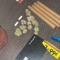 baggin
