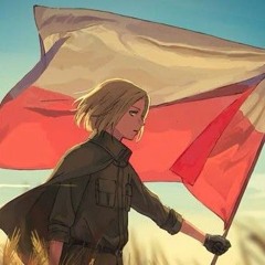 Polish☆Tankist