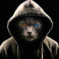 Mishi