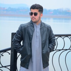 ملک طاہر شاہوانی