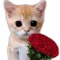 ★~someone's girlfriend~★