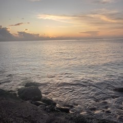 Dock's saihh